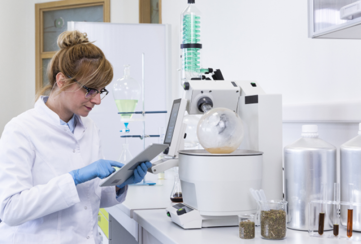 Cannabis White Label - produkty konopne pod własną marką